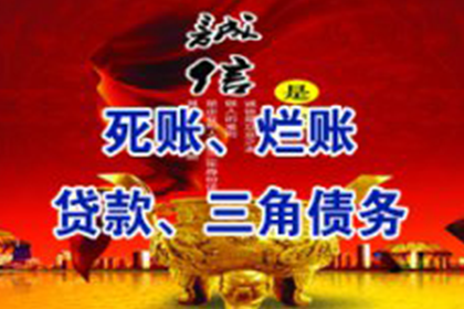 欠款诉讼强制执行中能否新增被告？